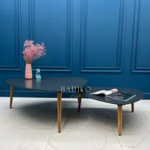 1a7cd34d-87bb-4fea-a6a0-ae0d2ce48e35