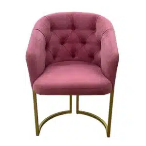 WhatsApp Image 2024-09-12 at 09.11.46