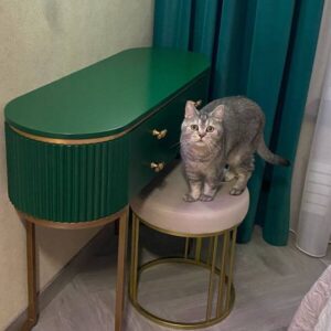 konsolnyj-stol-cassiopeia-4