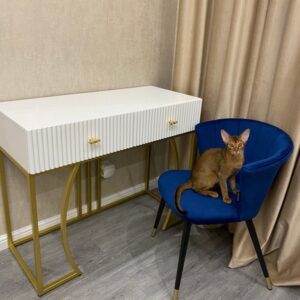 konsolnyj-stol-versal-25