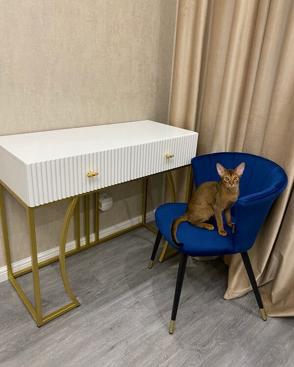 konsolnyj-stol-versal-25